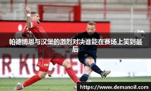 DB真人帕德博恩与汉堡的激烈对决谁能在赛场上笑到最后